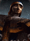 Имперский Жрец portrait